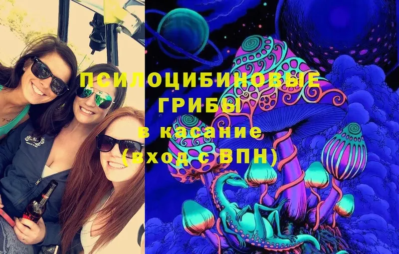 Галлюциногенные грибы Cubensis  дарнет шоп  Ижевск 